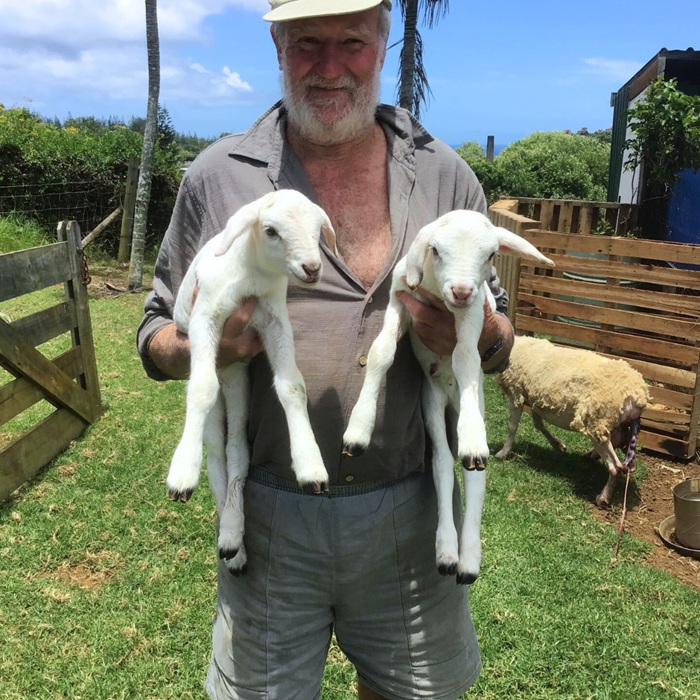 man holding a pair of lambs